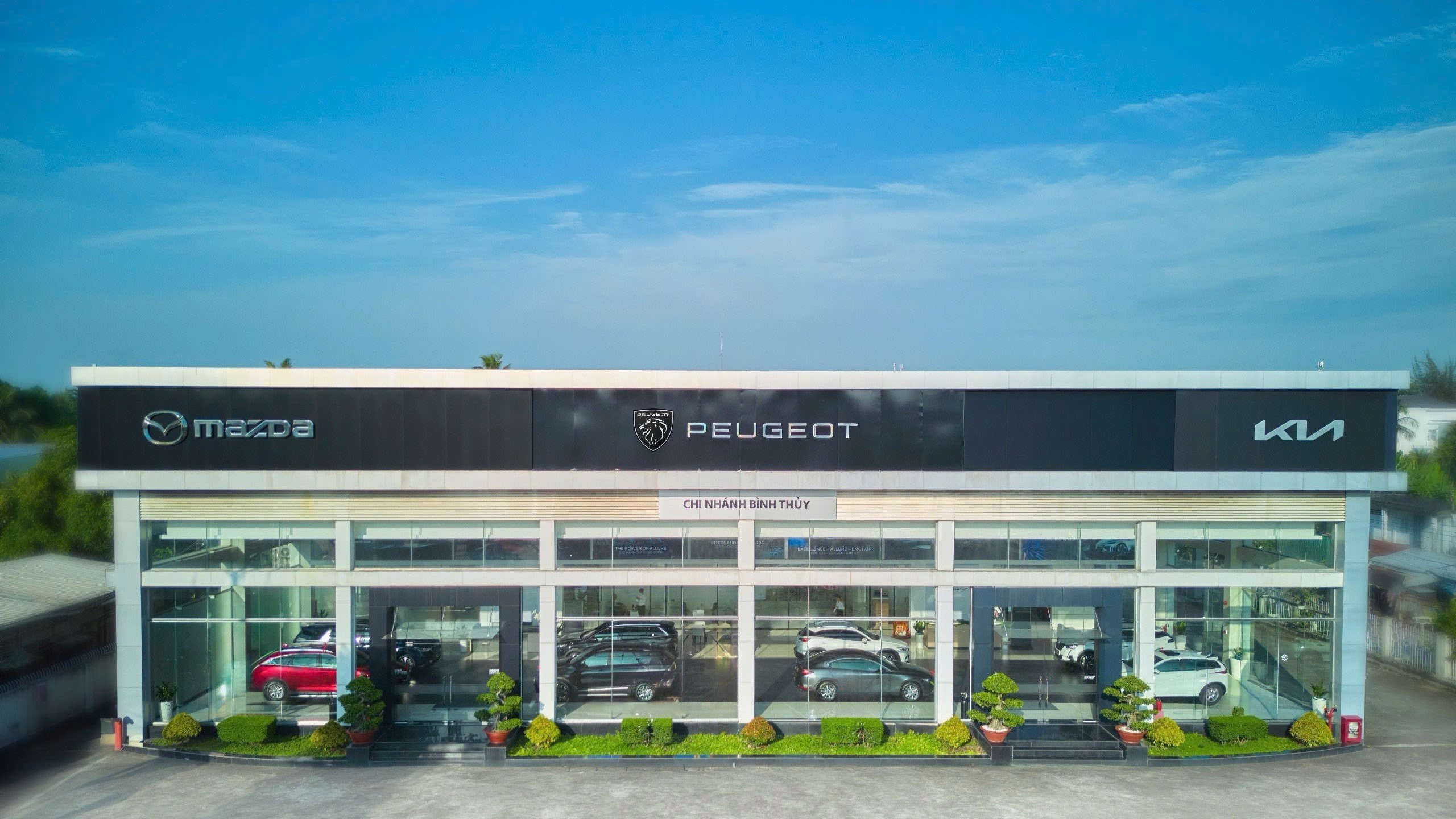 SHOWROOM KIA, MAZDA, PEUGEOT CMT8